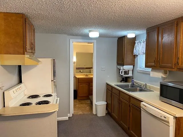 1 bed, 1000 sqft, $1,100 — Photo 4