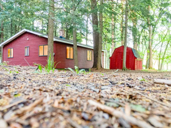 17341 Old Logging Rd, Hersey, MI 49639
