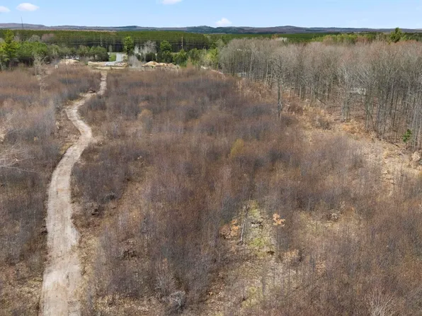 PARCEL E 32nd Rd #D, Cadillac, MI 49601