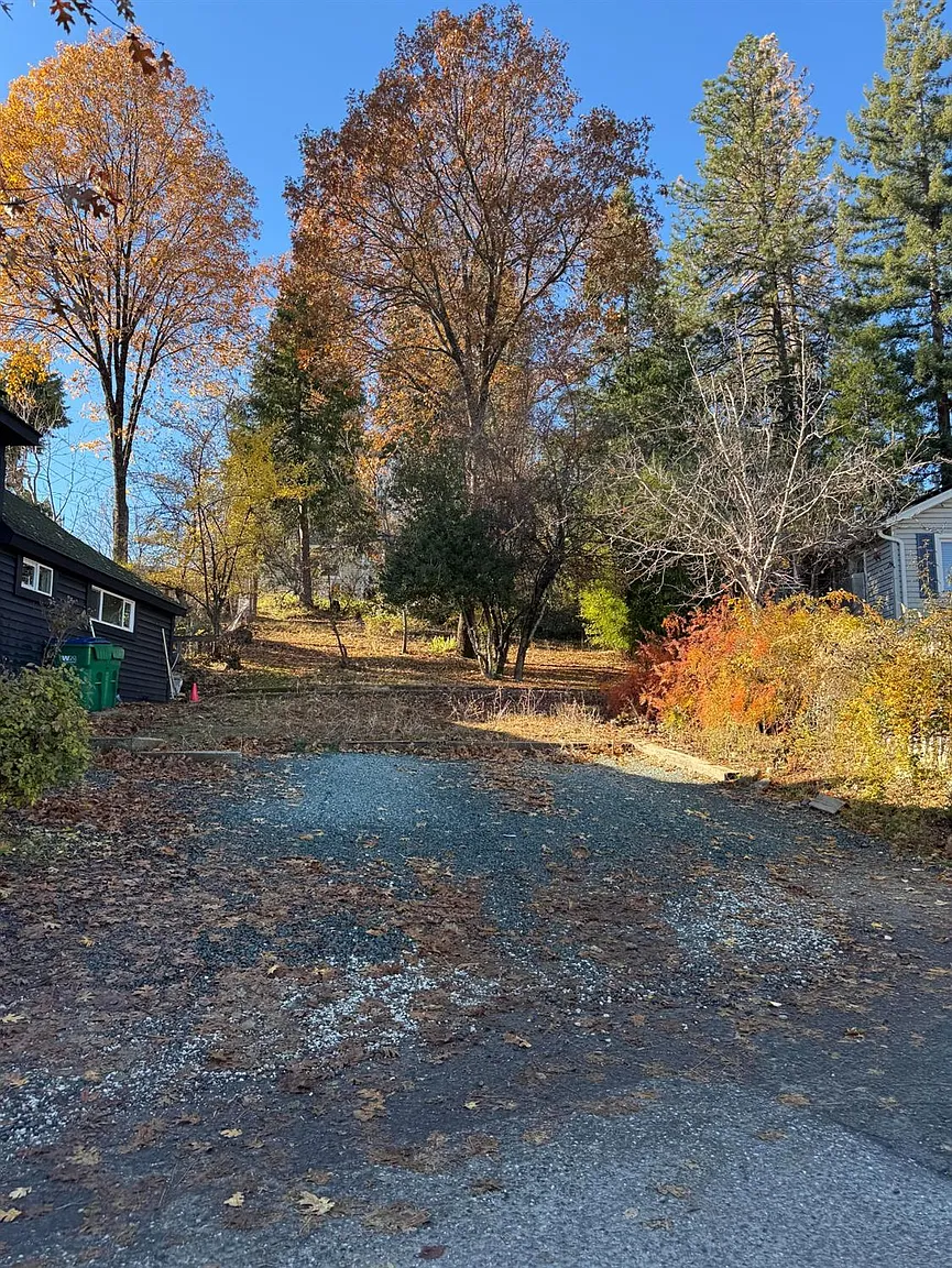 Eureka St photo 1