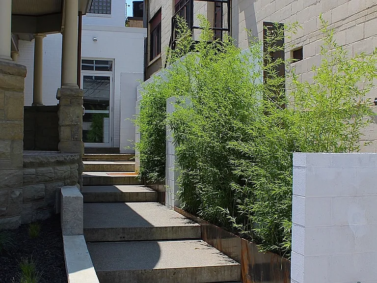 270 Walnut St — Photo 8
