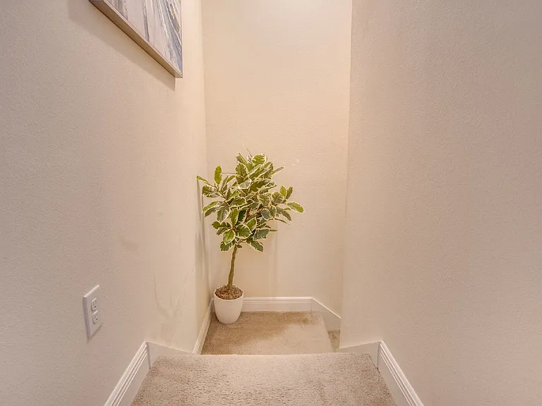 8824 Smiley Ct — Photo 10