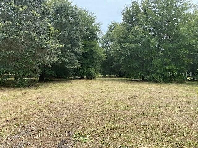 2nd image of Phillips Rd