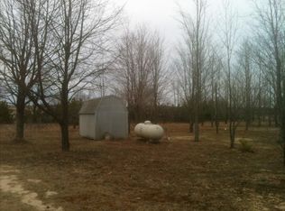 10117 W Burns Rd, Manton, MI 49663