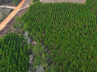 Young Rd LOT 40, Livingston, TX 77351