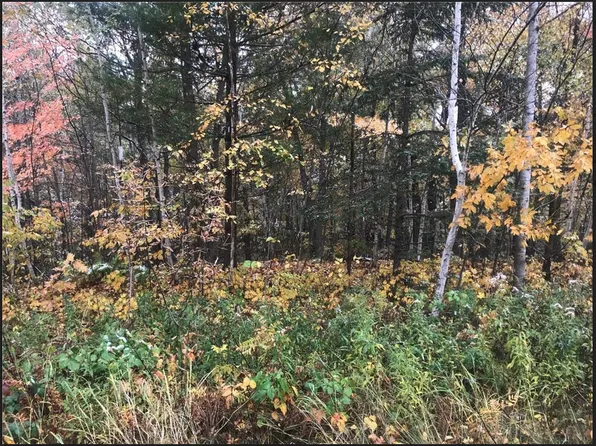 LOT 113 162nd Ave, Balsam Lake, WI 54810