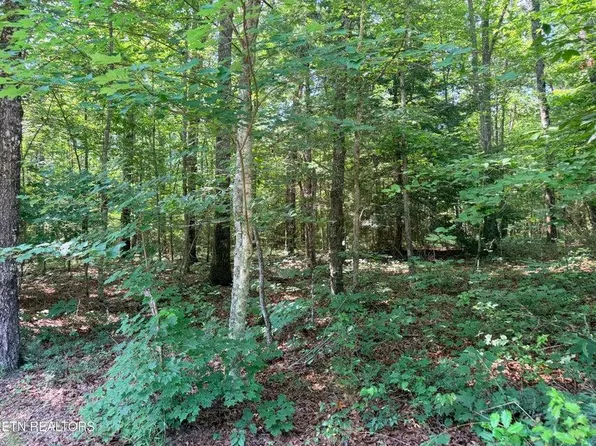 390 Georgee Rd, Jamestown, TN 38556