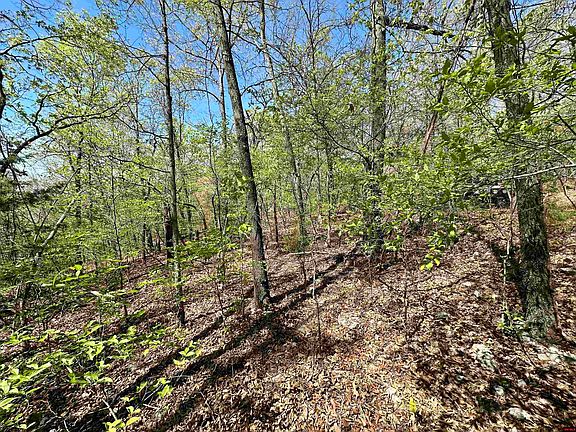 4th image of Lots 6 & 7 Homestead Ln