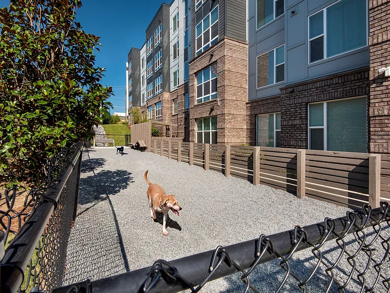 Dog park