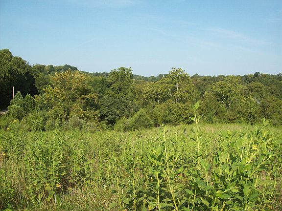 5th image of 0 Blue Ridge Tpke
