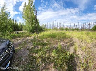 18870 N Mae Loop, Willow, AK 99688