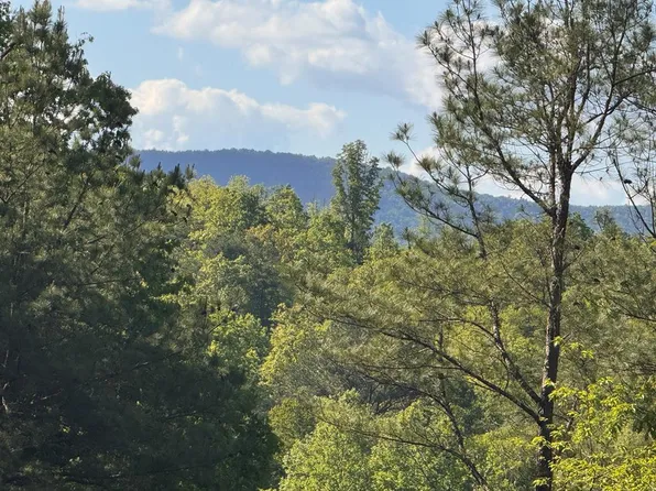 LOT 2 Grassy Creek Rd, Copperhill, TN 37317