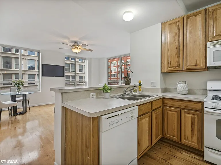 1111 S Wabash Ave #806 — Photo 7