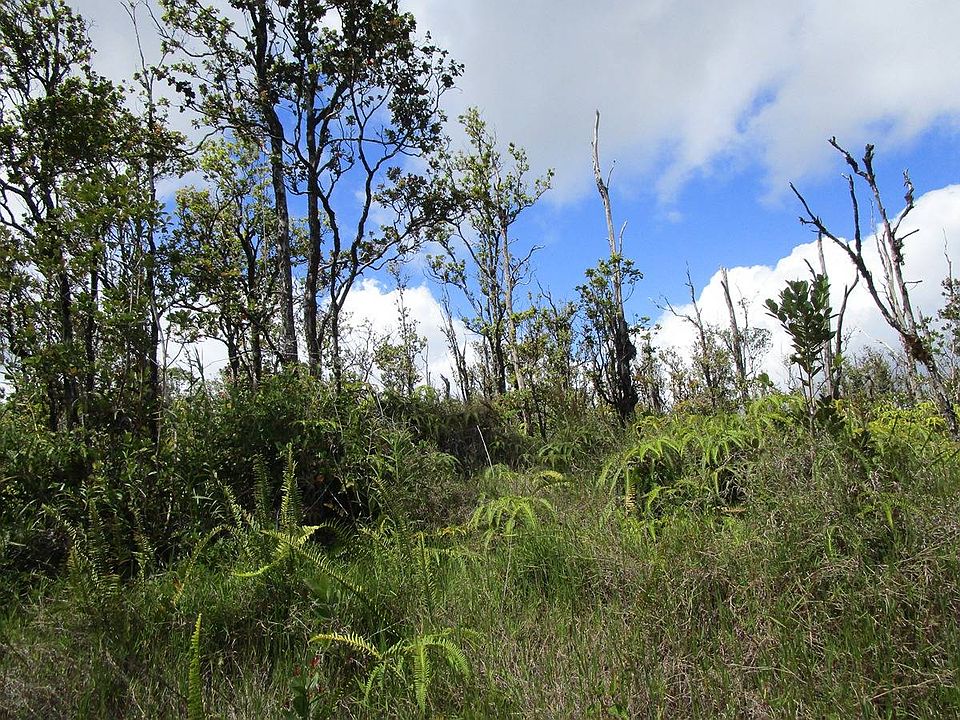2nd image of LOT 74 Lot 74