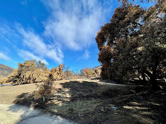 2nd image of 15 Trampa Cyn