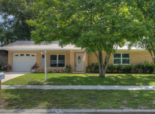 915 Chadsworth Ave, Seffner, FL 33584