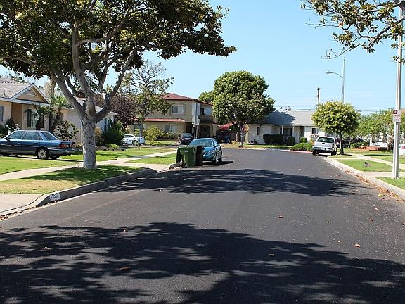 Tree-lined street