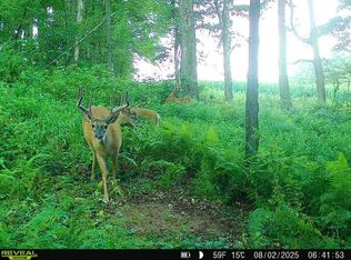 Summerville Rd, Brookville, PA 15825