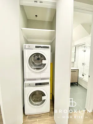 Rented by Brooklyn High Rise LLC | media 29