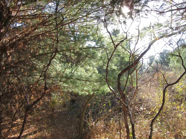 LOT 52 Mockingbird Ct, La Valle, WI 53941
