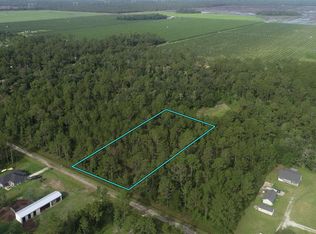 10325 Gregory Ave, Hastings, FL 32145