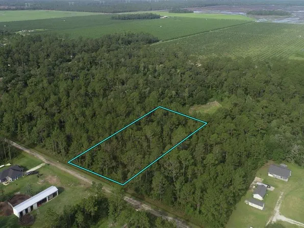 10325 Gregory Ave, Hastings, FL 32145
