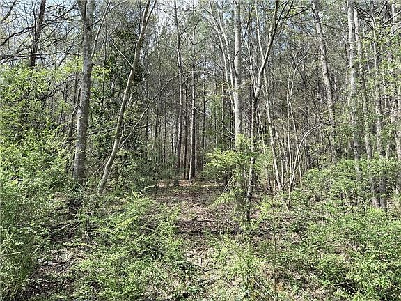 5th image of 0 Old Columbus Rd
