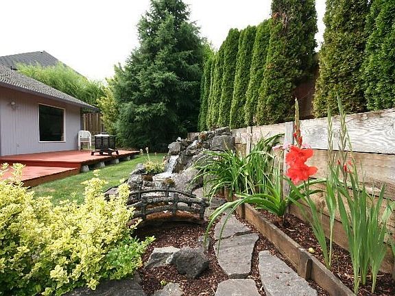 Backyard/Water Feature