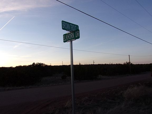 3rd image of 1257 Brown Trout Dr