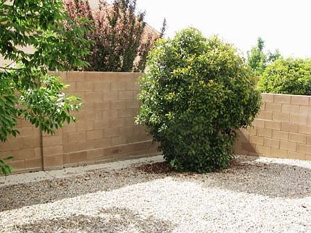 Easy Care Backyard