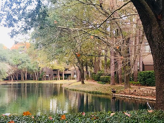 Pond next to town home