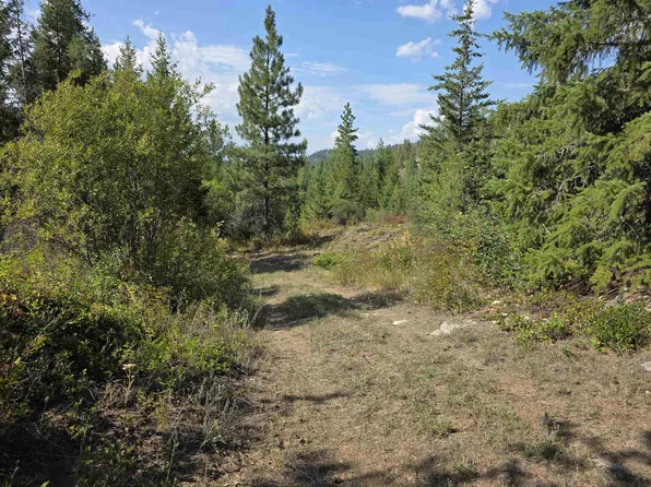 251 Hearts Delight Ln, Newport, WA 99156