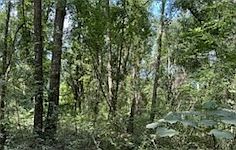 1st image of 0 NW County Road 292