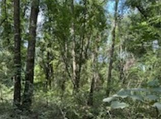 0 NW County Road 292, Mayo, FL 32066