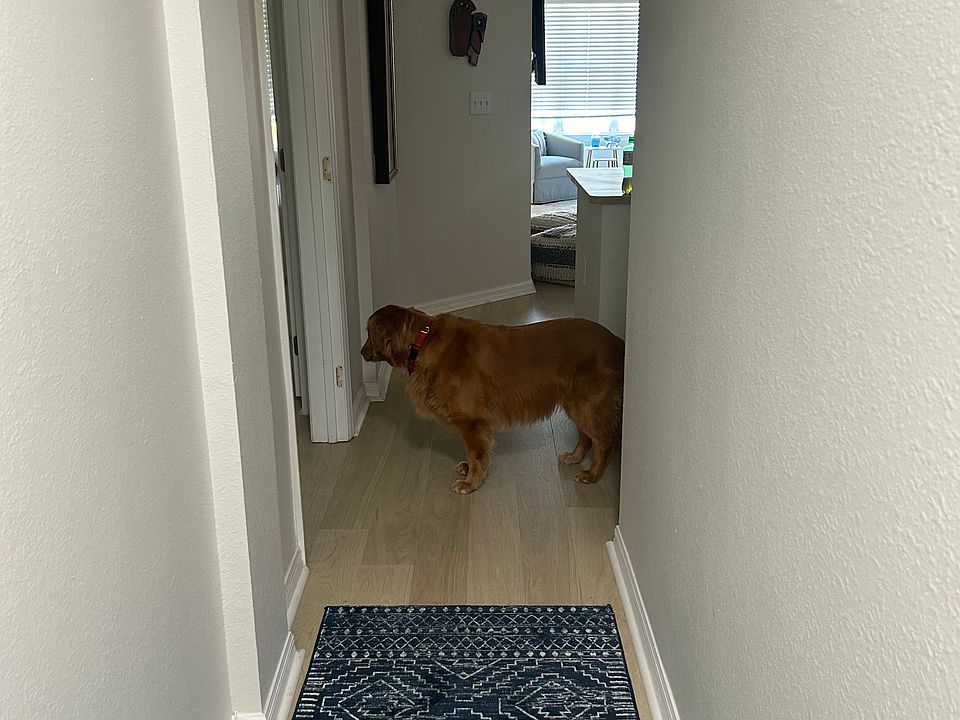 1st image of 100 4th Ave S APT 326