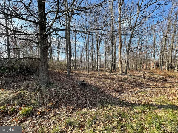 Cherrywood Ave, Cumberland, MD 21502