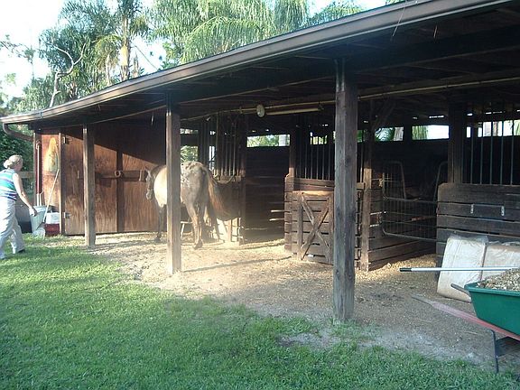 Three Stall Barn