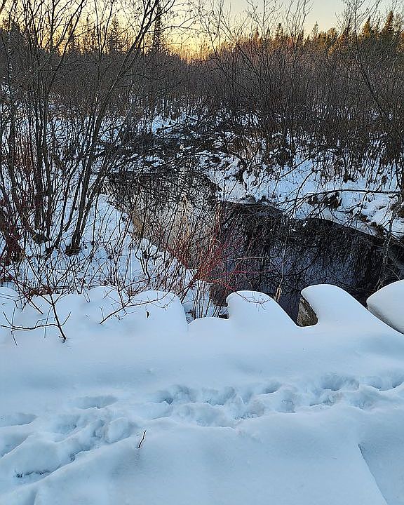 19400 W Black Creek Rd, Trout Lake, MI 49793 Zillow