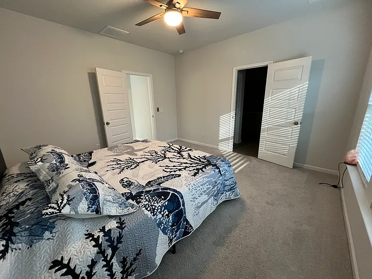 221 Pink Azalea St — Photo 57