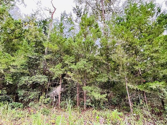 4th image of Lot 8 NW 67th Pl