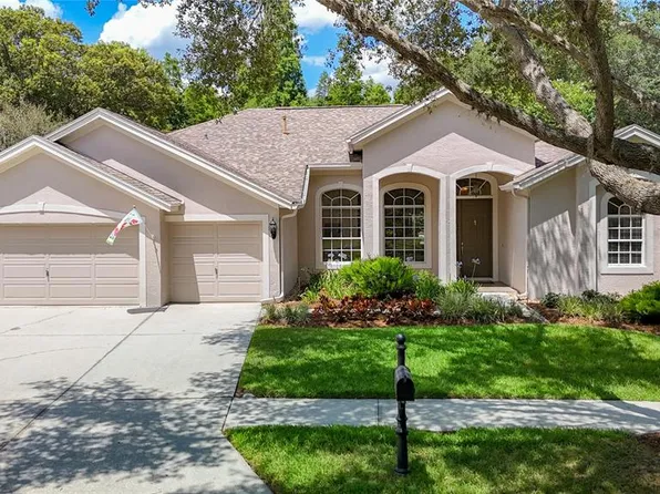 19205 AUTUMN WOODS AVENUE, TAMPA, FL 33647