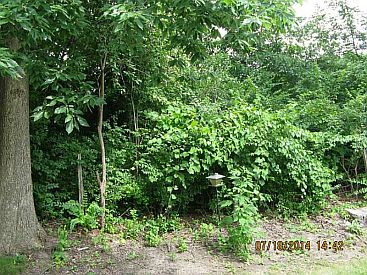 2nd image of 8531 Bison Woods Ct