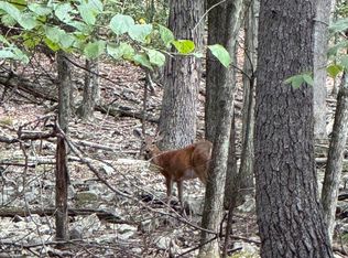 435 Autumn Ct, Hawley, PA 18428