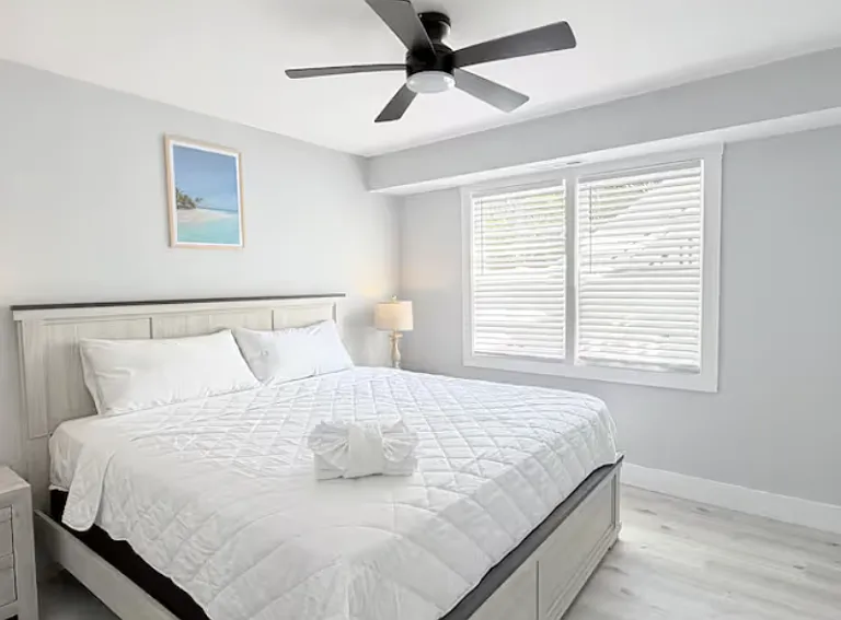 208 Chester St #11 — Photo 11