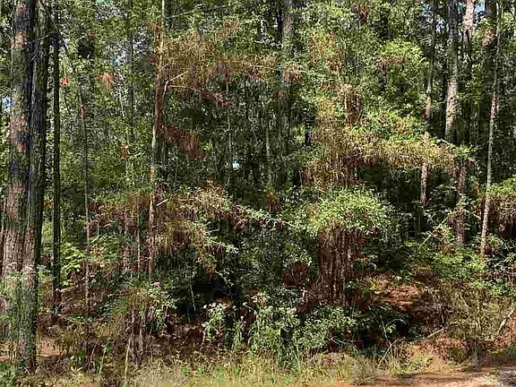 3rd image of 0 Arrowcrest Dr