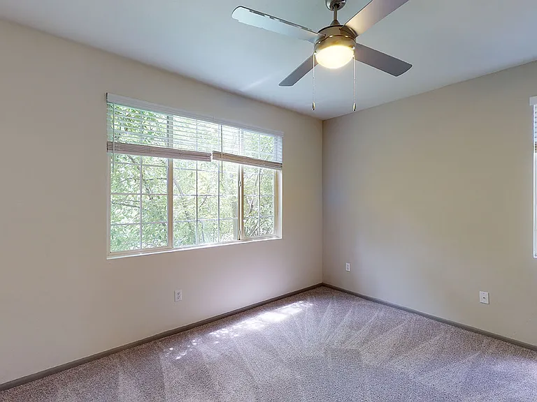 Spacious apartment bedroom with plush carpet flooring.