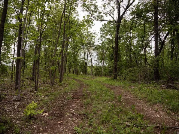 0 Highway Y, Myrtle, MO 65778