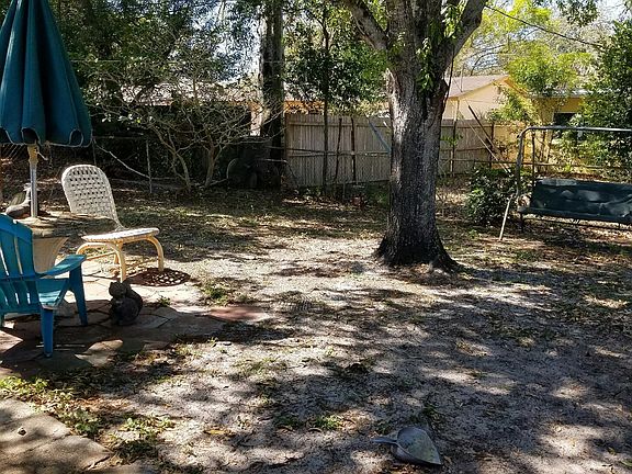 back yard