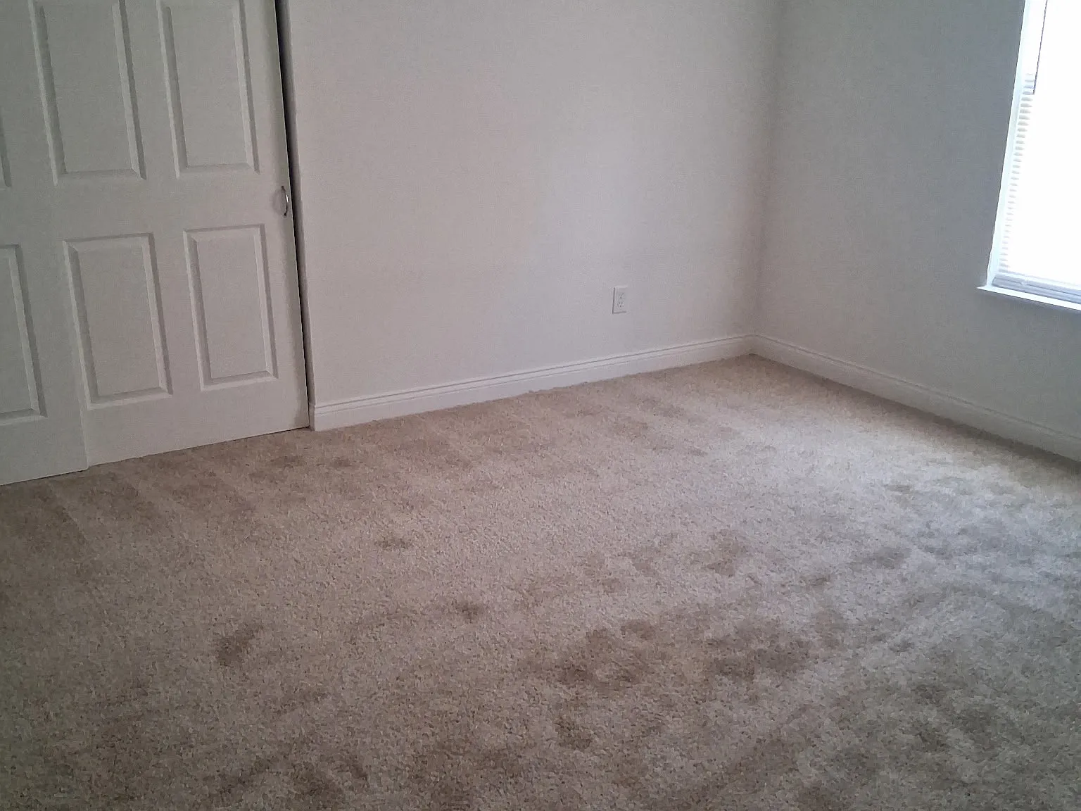 2 bed, 800 sqft, $875 — Photo 3