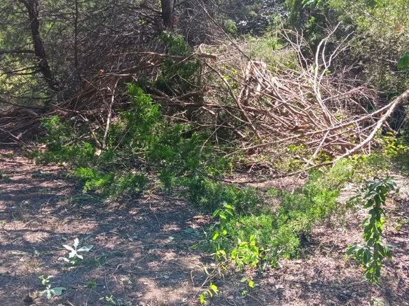 Twb County 3114 Rd NW, Purdon, TX 76679